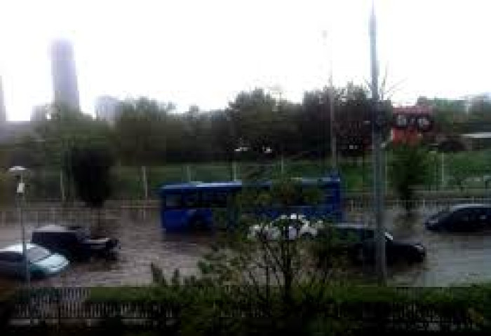 Бороо орно